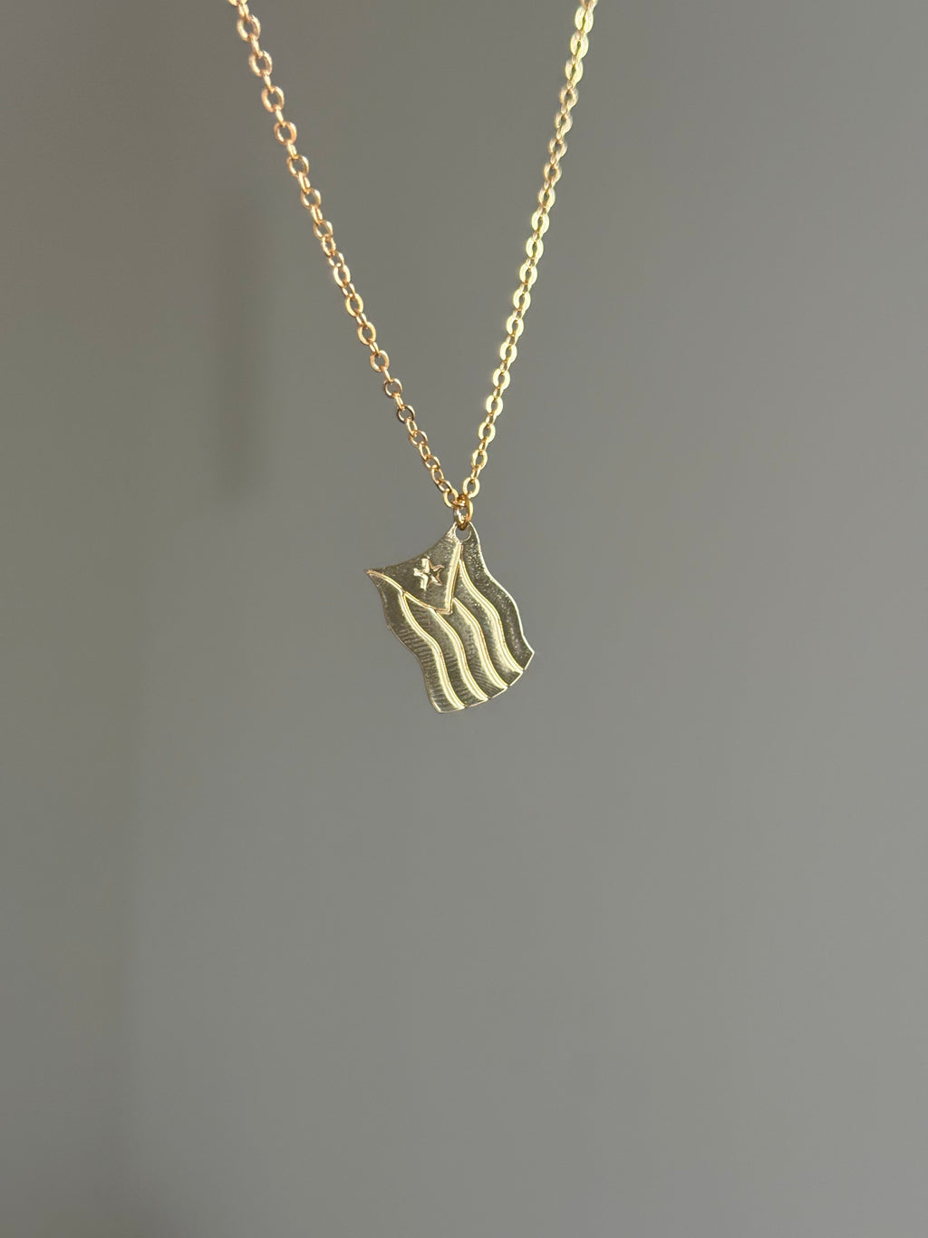 Bandera Necklace