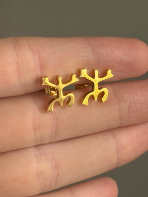 Coquí Earrings
