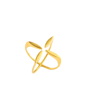 Nova Ring