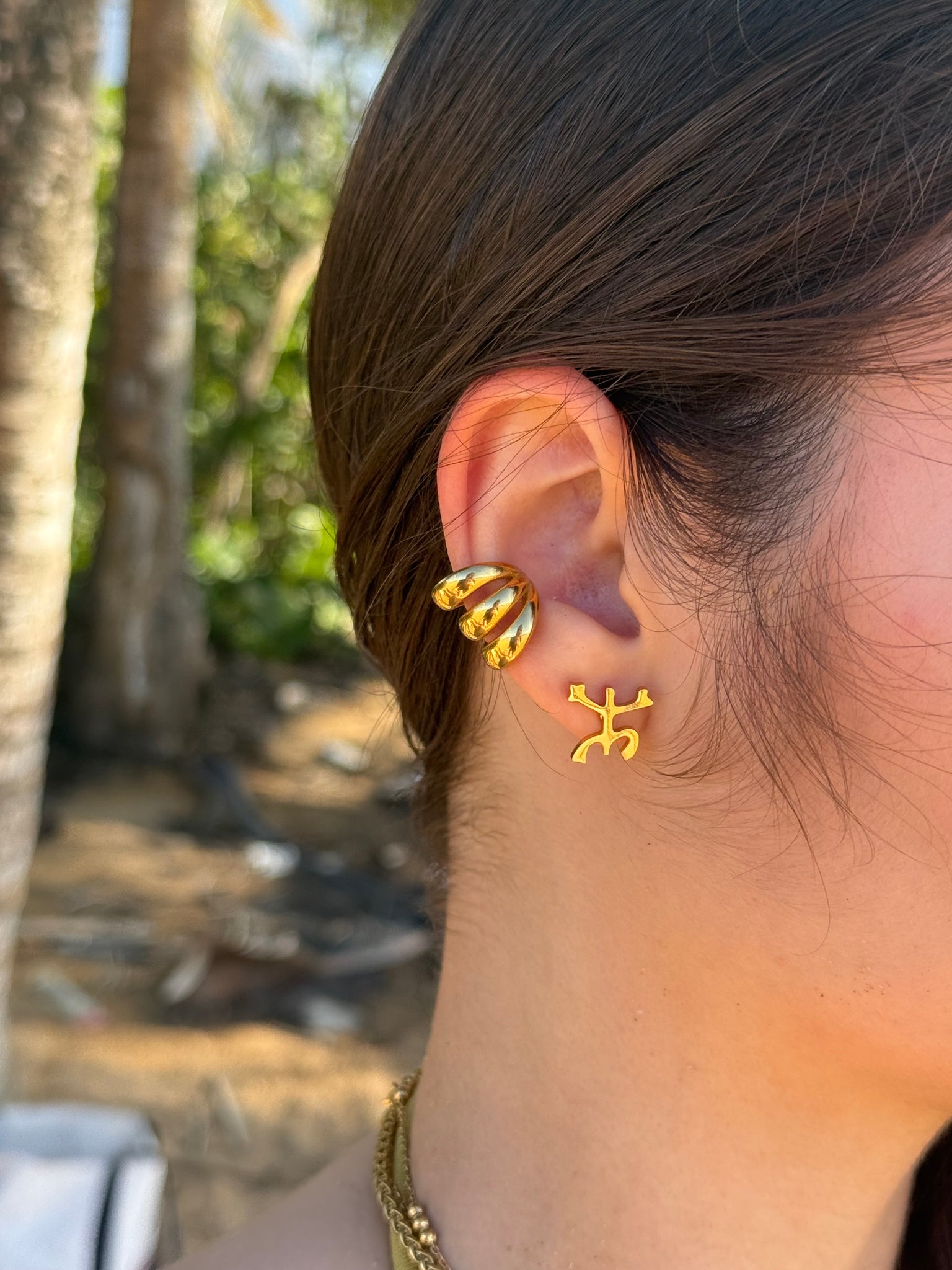 Coquí Earrings