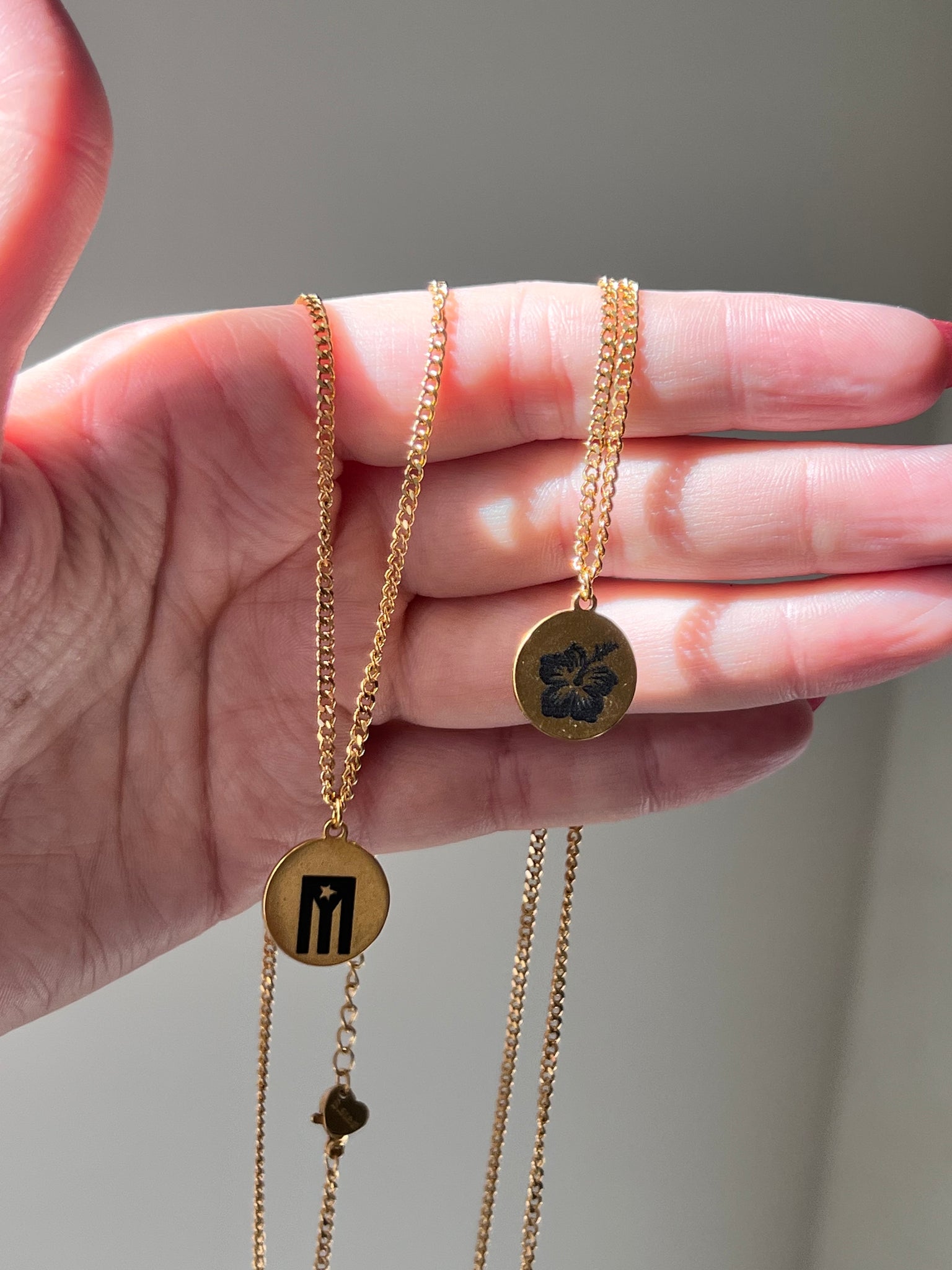 Medalla Necklace