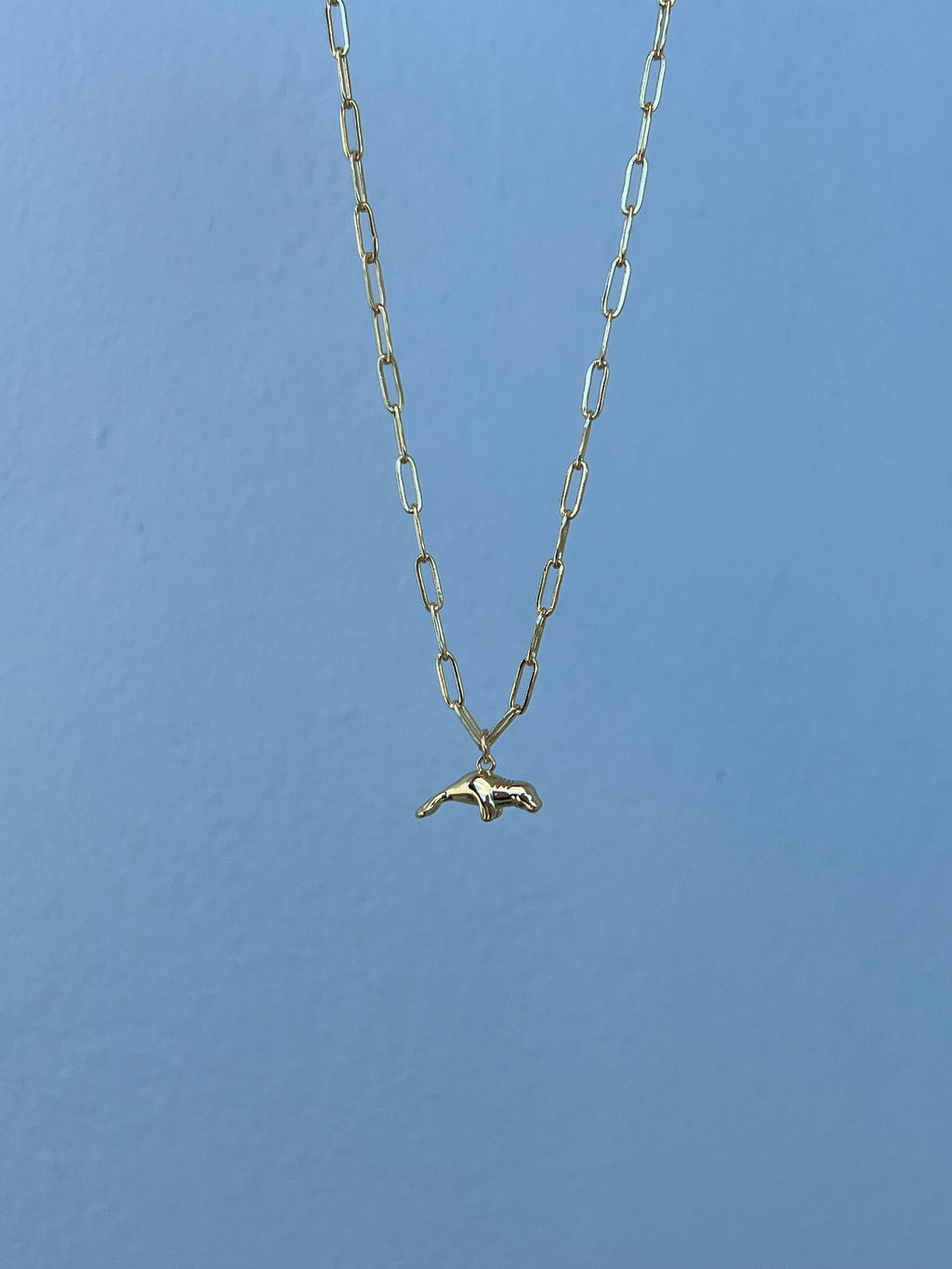 Moises Necklace