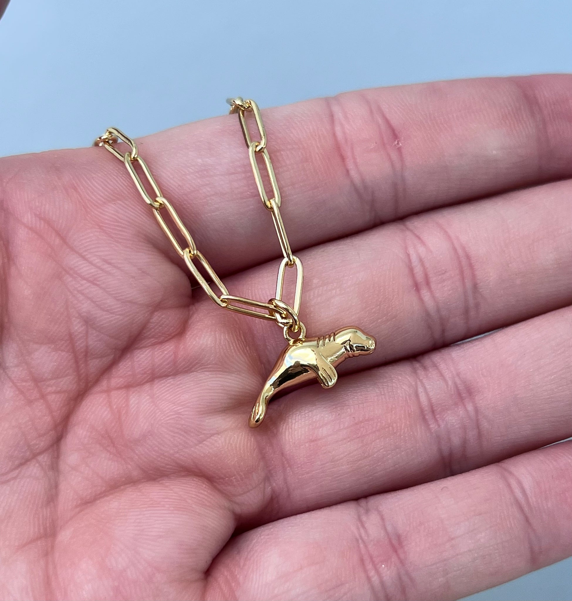 Moises Necklace